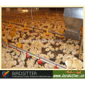 birdsitter ISO9001 qualified chicken house agriculture machinery equipment